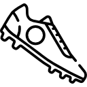 顾彩会
